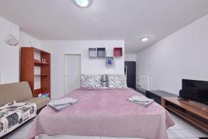 a bedroom with a large bed and a tv at Relax apartment in Bratislava +5 photos