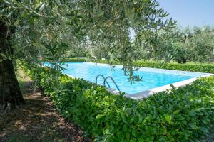a swimming pool surrounded by trees and bushes at La casa di Bella - con Piscina in Padenghe sul Garda