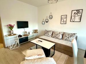 Μια τηλεόραση ή/και κέντρο ψυχαγωγίας στο Apartman Alisa