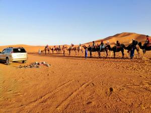 a group of people riding on camels in the desert at Anir Luxury Camp - Gites et Tentes de Luxe in Merzouga