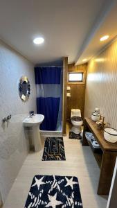 a bathroom with a sink and a toilet and a shower at Che Manuel in Puerto Natales