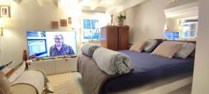Televízia a/alebo spoločenská miestnosť v ubytovaní PARIS AUTHENTIC HOUSE studio with green courtyard 12 rue labourse Gentilly 94250