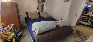 Posteľ alebo postele v izbe v ubytovaní PARIS AUTHENTIC HOUSE studio with green courtyard 12 rue labourse Gentilly 94250