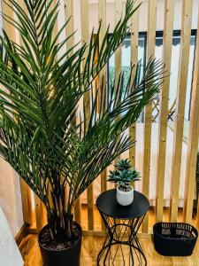 two potted plants on a table next to a staircase at Las Terrazas de Vigo - David in Vigo
