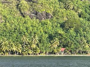 Galeriebild der Unterkunft Te Fitii Garden & Beach in Fare