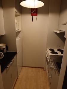 Kuchyň nebo kuchyňský kout v ubytování Lapland Story Home