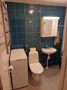 Koupelna v ubytování Lapland Story Home + 4 fotografie