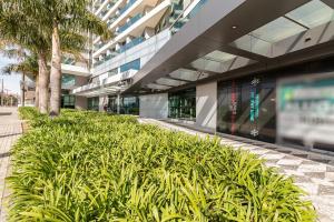 Un edificio con una hilera de plantas delante de él. en Studio para 4 pessoas no Seventh - SEV0702, en Curitiba