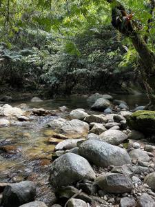 Gallery image of Finca con piscina balcón cerca al rio san rafael in San Carlos