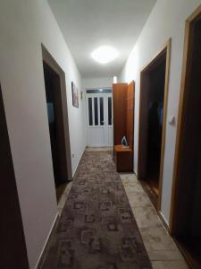 Fotografie z fotogalerie ubytování Bgd apartman v destinaci Kavač