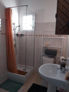 a bathroom with a shower and a toilet and a sink at Sous-les-tropiques in Vieux-Habitants +3 photos