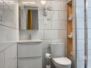 a bathroom with a toilet and a sink and a mirror at Appartement Altea 85 m2 climatisé parking proche Sanctuaires in Lourdes