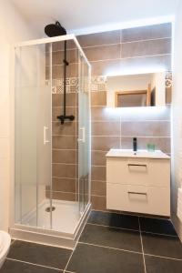 a bathroom with a shower and a sink at LE 23 Bis in Jarny
