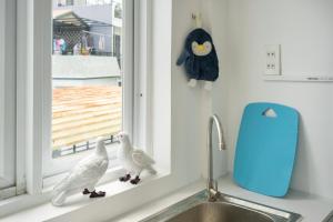 two birds sitting on a kitchen sink next to a window at Happy house studio in Ho Chi Minh City +65 photos