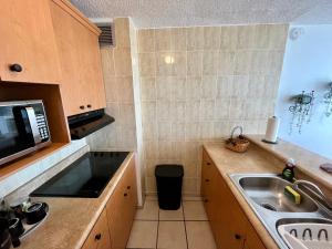ルキリョにあるBeachfront condo at Costa Azulの小さなキッチン(シンク、電子レンジ付)