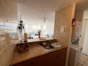 ルキリョにあるBeachfront condo at Costa Azulのキッチン(シンク、カウンタートップ付)