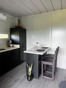 Kuchyň nebo kuchyňský kout v ubytování Dadirri Cozy House Santa Elena Monteverde + 51 fotografií