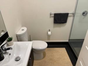 4 large bedroom Apartment in the City的一间浴室
