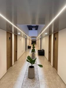Fotografie z fotogalerie ubytování RB Hotel v destinaci Villavicencio