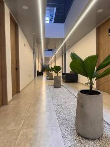 Fotografie z fotogalerie ubytování RB Hotel v destinaci Villavicencio