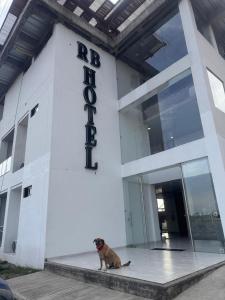 Domácí mazlíčci ubytovaní s hosty v ubytování RB Hotel + 37 fotografií