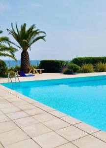 a blue swimming pool with palm trees and the ocean at Emplacement exceptionnel pour 4 personnes in Boulouris-sur-Mer