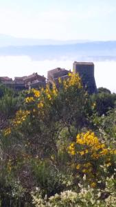 Paesaggio naturale nelle vicinanze dell'affittacamere