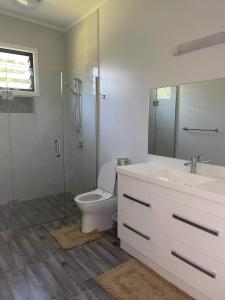 a bathroom with a toilet and a shower and a sink at Eryns Retreat in Avarua +17 photos