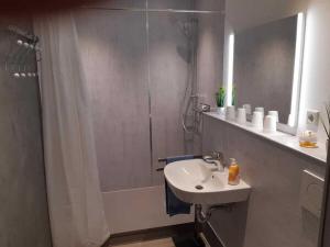Un baño con lavabo y ducha con cortina de ducha. en Kaufmann Comfortable holiday residence, en Bergisch Gladbach 9 fotos más