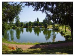 a large lake with trees in a park at Comfortable holiday residence on the lake in Herrischried