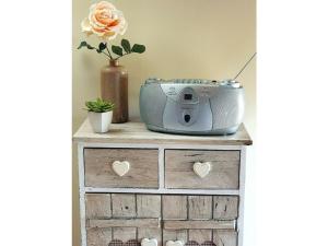 a camera sitting on top of a dresser with a flower at Ranchhouse Dogs and horses welcome in Aurich
