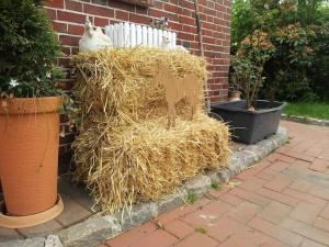 Gallery image of Ranchhouse Dogs and horses welcome in Aurich +91 photos