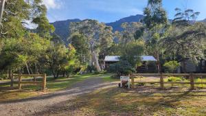 Naturlandskabet i nærheden af feriehuset