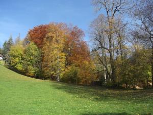 Foto sihtkohas Schliersee asuva majutusasutuse Haringer Comfortable holiday residence galeriist