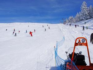 een groep mensen die skiën op een besneeuwde helling bij Maison entre lacs et fôrets in Montréal La Cluse +25 foto's