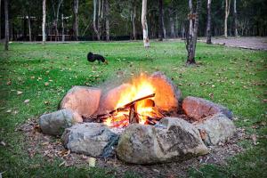 a black cat walking next to a camp fire at Airlie Beach Eco Cabins - Adults Only in Airlie Beach