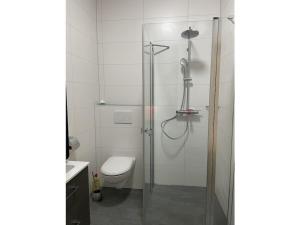 a bathroom with a shower and a toilet at Eul K3 completely fenced in Großwürden +19 photos