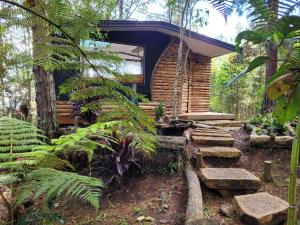una cabaña de troncos en el bosque con un montón de plantas en Cabaña Aventurina- La pascana Ecolodge Entorno natural excepcional, conexión con la naturaleza y avistamiento de aves, Ubicado a 3km del metrocable y Parque Arvi, Guarne, en Mazo