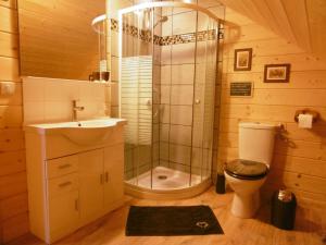 a bathroom with a shower and a toilet and a sink at Gite Au Coeur Du Chalet en Belledonne vers Prapoutel Les 7 Laux in Sainte-Agnès