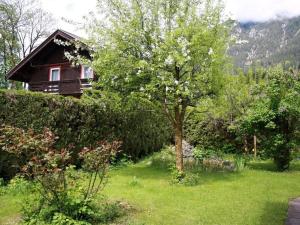 un árbol en medio de un patio con una casa en Hintermair Comfortable holiday residence, en Garmisch