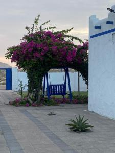 Fotografie z fotogalerie ubytování Al-Ashkhara Beach Resort منتجع شاطئ الأشخرة v destinaci Al Sharqiyah