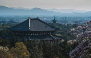 山景或在酒店看到的山景