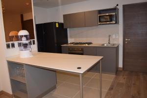 Η κουζίνα ή μικρή κουζίνα στο Polanco CARSO SOUMAYA