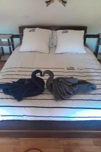 two black swans are laying on a bed at Gîte de La Guinchère in Saint-Georges-de-Reintembault