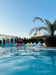 a swimming pool with a palm tree in the middle at Resort Plaza Lake in Rojiştea