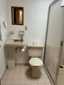 a bathroom with a toilet and a sink and a shower at Casa Antares24, Departamento de confort y descanso in Guanajuato
