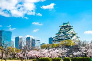 a pagoda in the middle of a city withakura trees at LAINA Kyobashi in Osaka