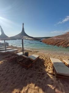 Příroda nedaleko apartmánu + 14 fotografií