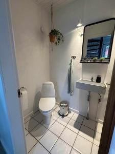 ein kleines Badezimmer mit Toilette und Waschbecken in der Unterkunft SleepOrup in Faxe + 52 Fotos