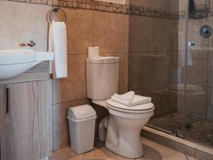 a bathroom with a toilet and a shower and a sink at Cape Panorama Lodge in Panorama